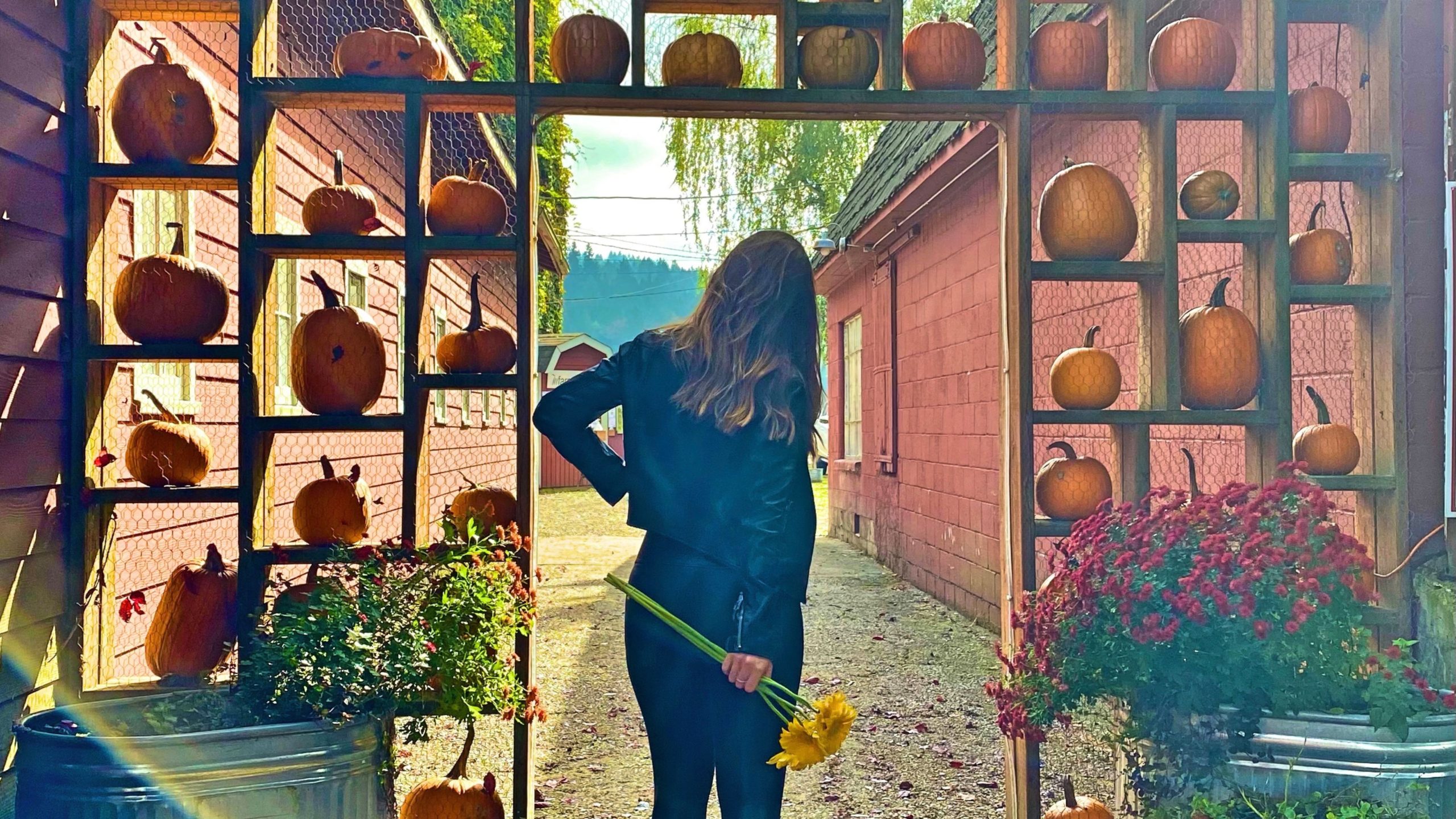 Best Fall Festivals To Visit In Washington State • TheJJAdventures